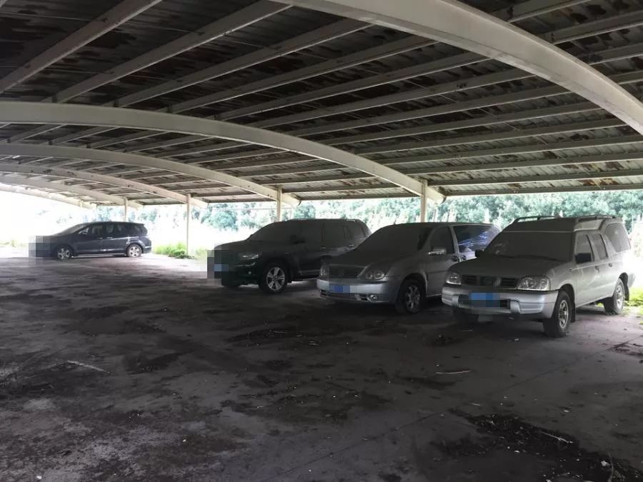 宁波GDP镇海石化_宁波镇海图片