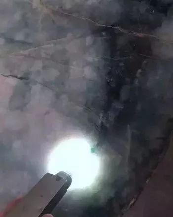 1�������ԭʯ��Ȼ���ͳ�600ֻ����������,��ʮ��Ų��䡱����ô׼��?