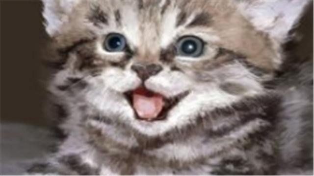 4ae2487cbac847779e5fcdb6e7f53e3d.jpeg
