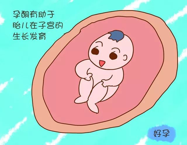 孕酮是看什么的 52411158061d4da5b7c9d93010bdffa0.jpeg