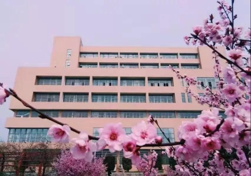 下一站南阳师范学院