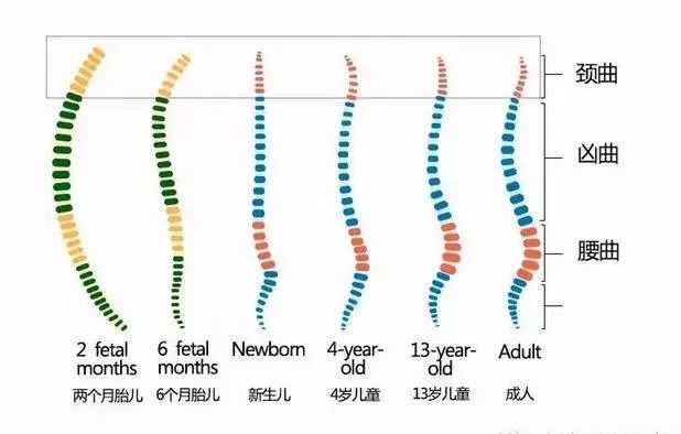                     宝宝多大用枕头？给宝宝挑枕头一定要看这四点