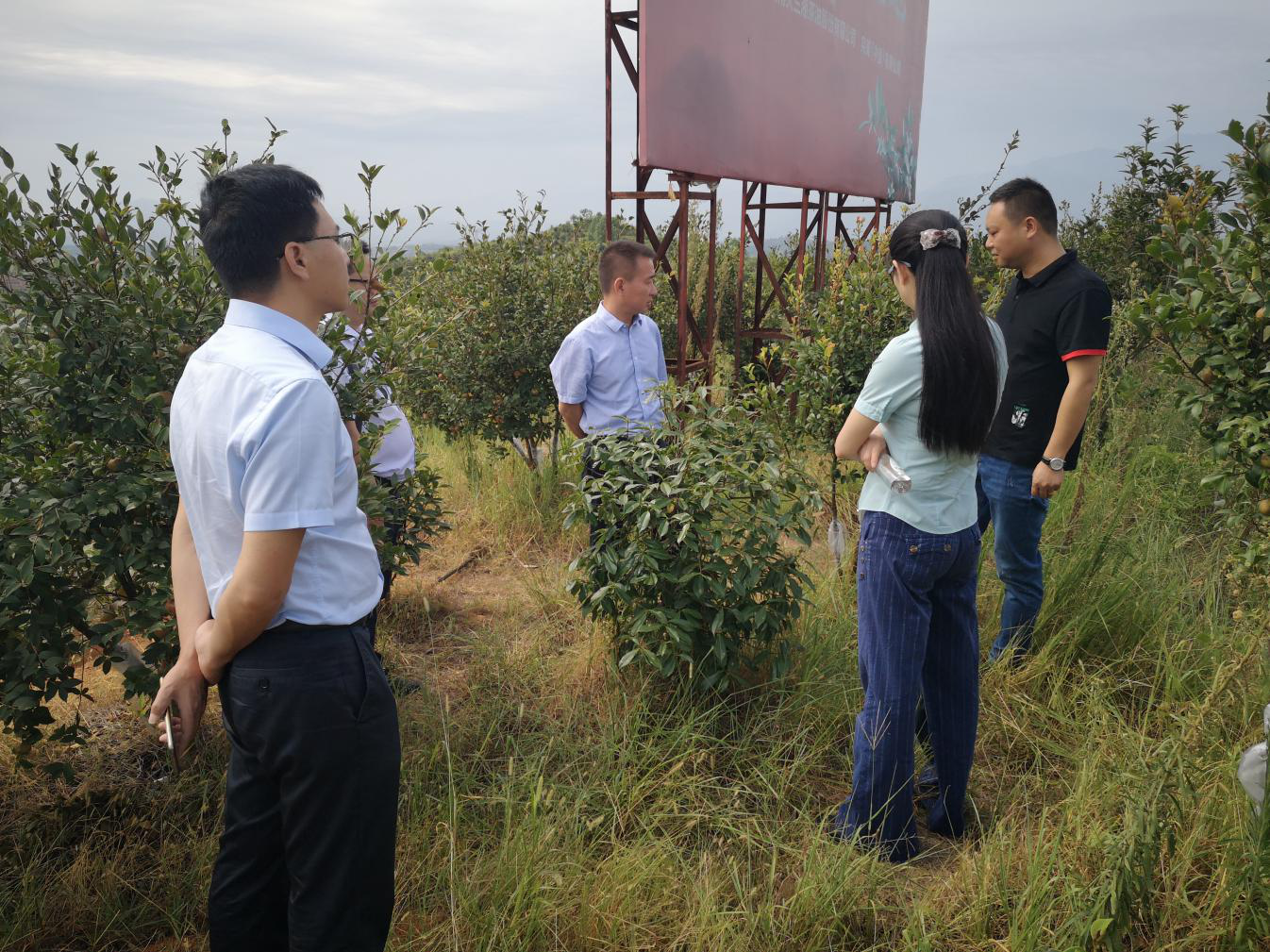 贵州黔西南喀斯特区域发展研究院,魏晓双,县政府副县长方华,县林业局