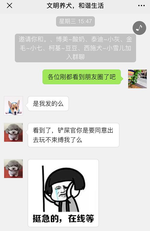 6353b8e9ac514cdea3c1b73a4a5c2f63.jpeg