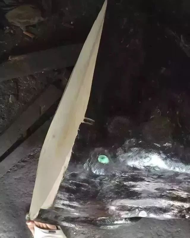 1�������ԭʯ��Ȼ���ͳ�600ֻ����������,��ʮ��Ų��䡱����ô׼��?