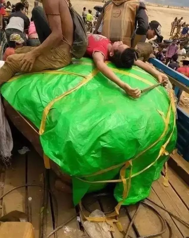 1�������ԭʯ��Ȼ���ͳ�600ֻ����������,��ʮ��Ų��䡱����ô׼��?