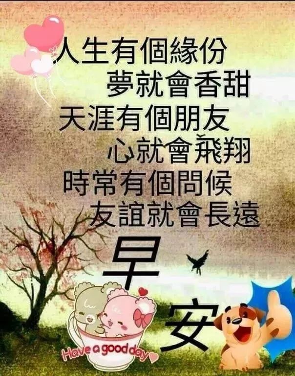 朋友圈问候大家早上好暖心祝福短信句子