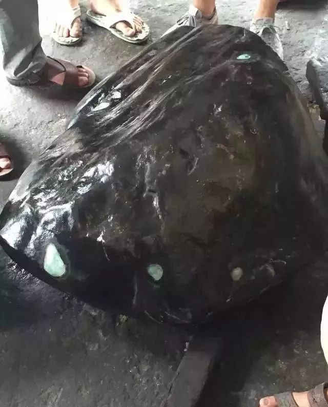 1�������ԭʯ��Ȼ���ͳ�600ֻ����������,��ʮ��Ų��䡱����ô׼��?