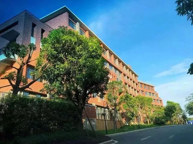 珠江花城省级公办小学实景图