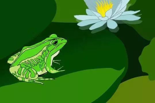 青蛙为什么跳得比树高四字成语_跳得远又简单青蛙折纸(3)