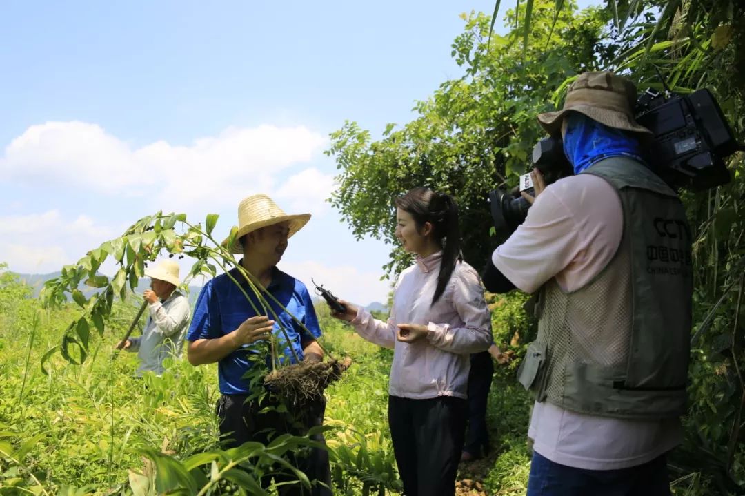 以"乡村旅游,生态文明"为主题,通过外景主持人和美丽乡村体验员的深度