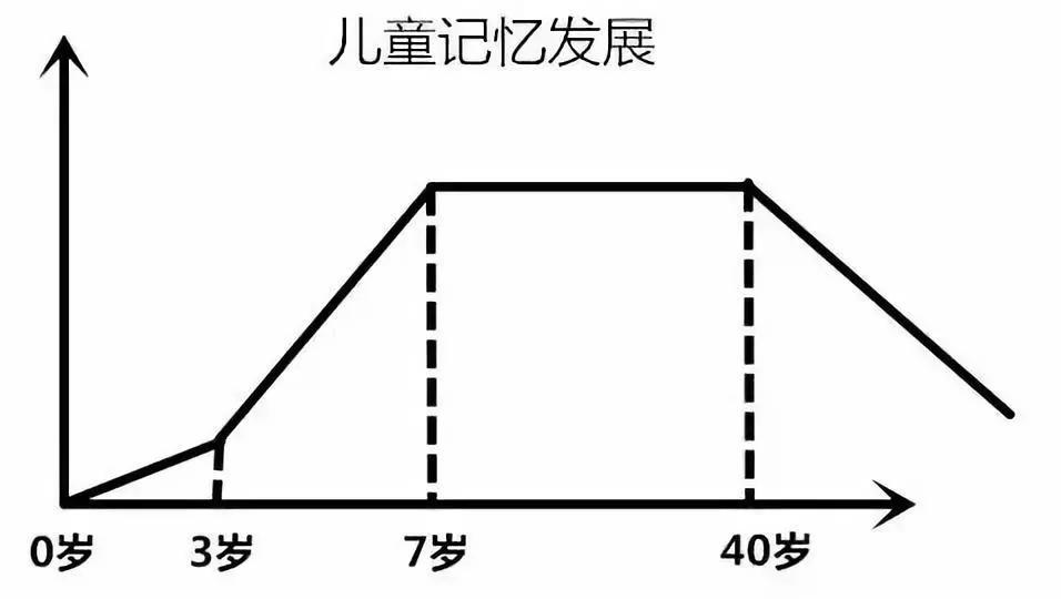 根据人类大脑发育阶段图 7 15 岁是孩子提高孩子记忆力的第二时期