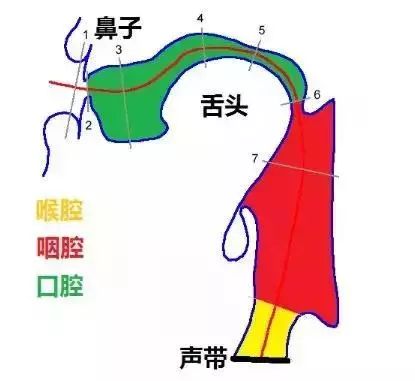 学唱歌|歌唱爱好者必学的知识点:共鸣的作用与获得方法