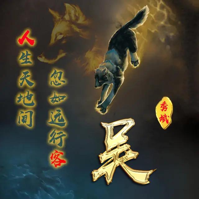 想换头像的朋友看这里,25款狼图微信头像,姓名头像,等