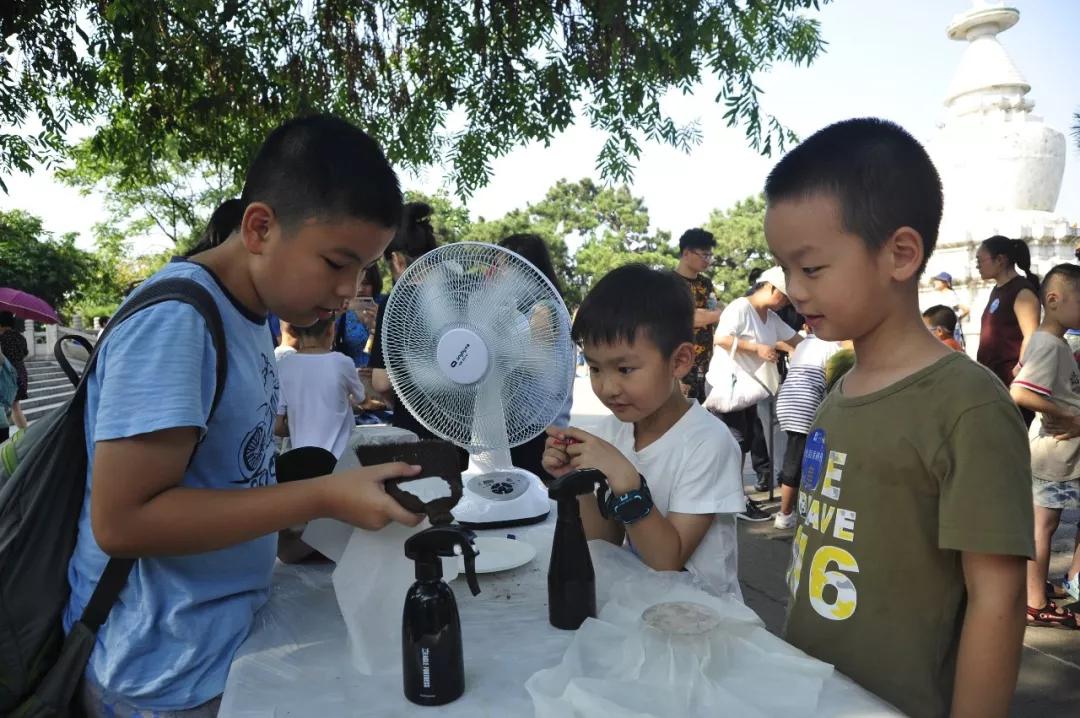 现在的小学生都这么厉害了吗？古代技艺都会