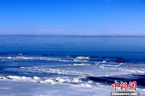 青海省委书记谈青海湖保护：规划不留败笔正抓紧立法