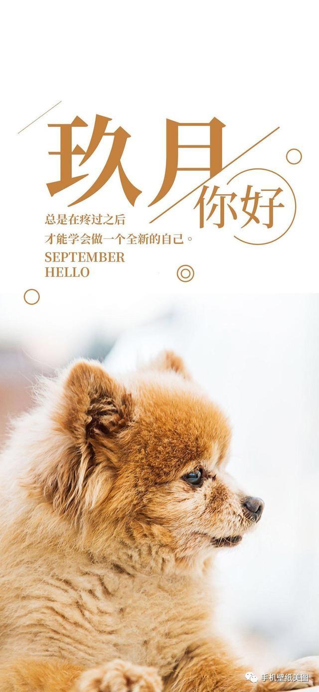 你好九月壁纸图片大全