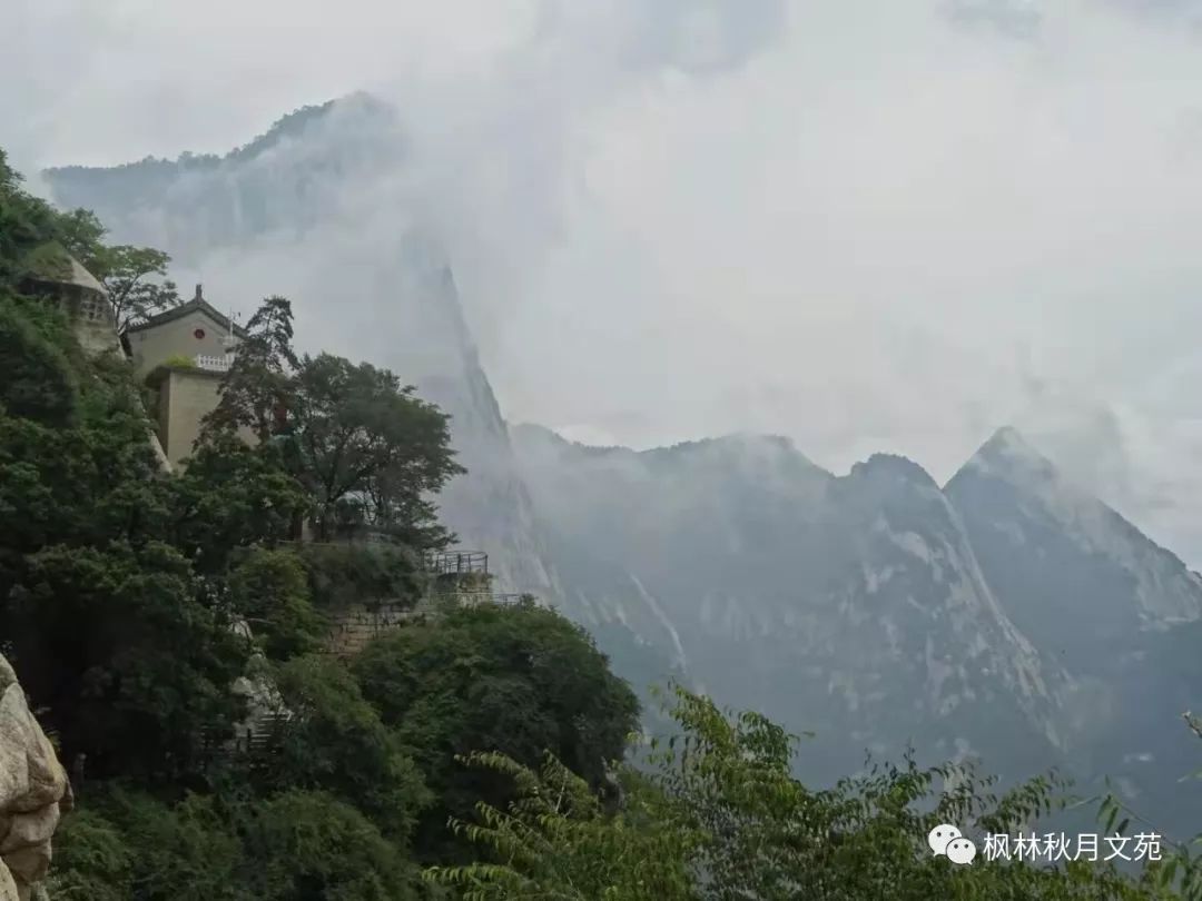 如何理解无限风光在险峰 bc6f7c99cd5c44f184cc59e44e7a2067.jpeg