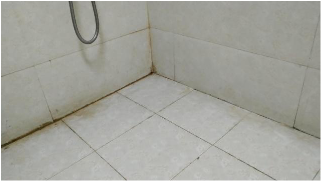 卫生间瓷砖怎么清洁小妙招 bc97fd95d9ad4299802274fdfee75e97.png