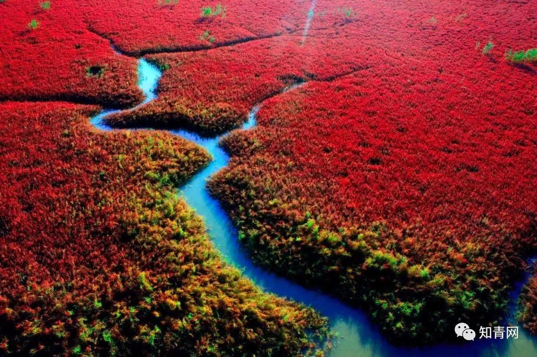 美国纪录片《中国》(上、下集),太精彩了!