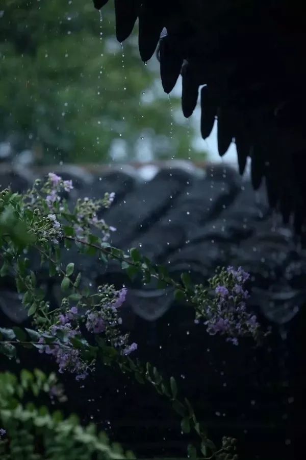 《诗经·风雨》