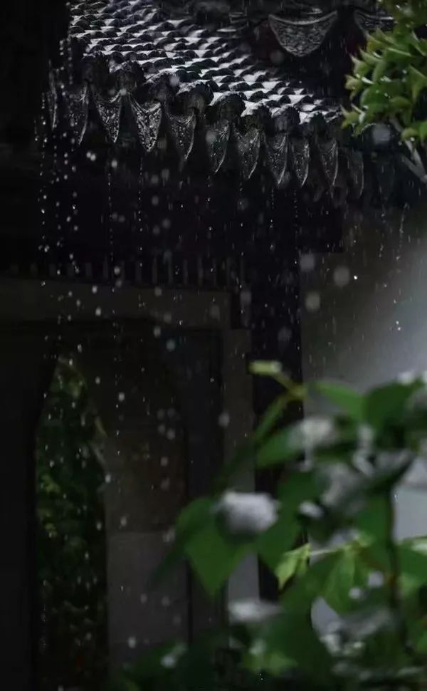 风过生香,雨落成诗——_唐·白居易