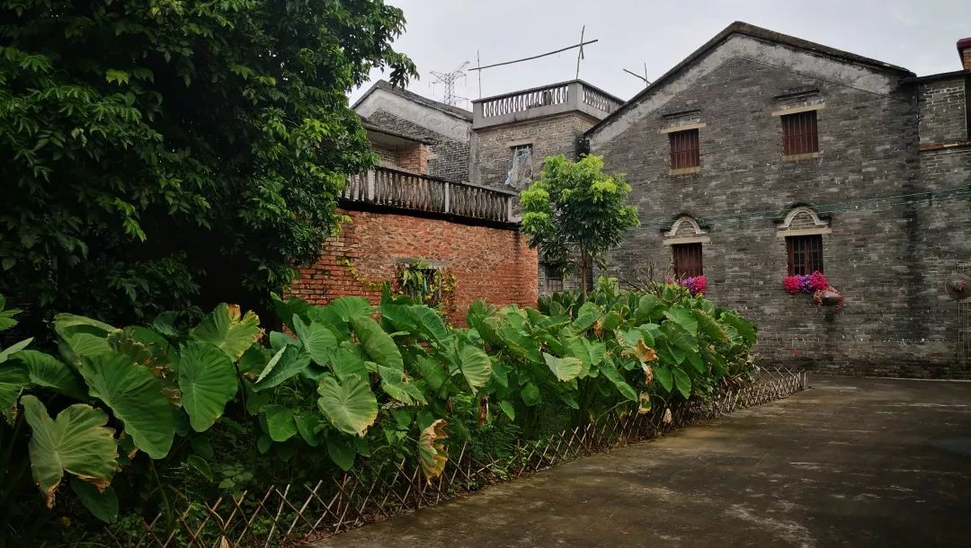 第4站:白坭镇沙围村