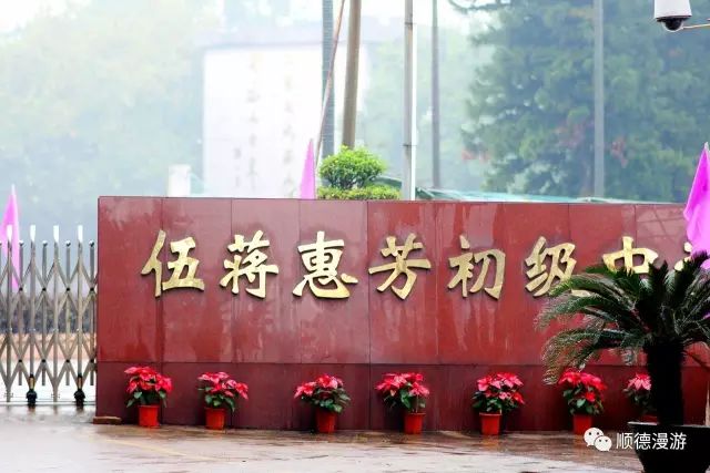 中学顺德学校海尾小学容边小学扁滘小学华口小学高黎小学幸福陈占梅