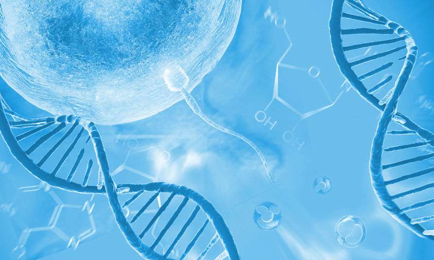 什么是精子总活力 ebc5e7a74f704cdba6b5c94f4e17c32f.jpeg