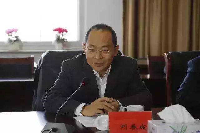 中国雄安集团总经理，调任新职