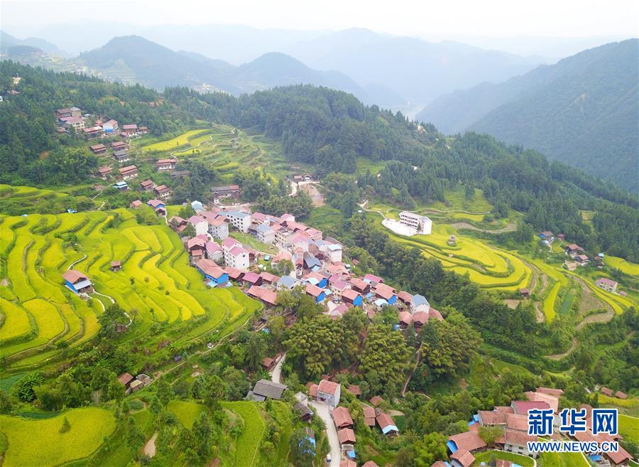 这是9月3日无人机拍摄的贵州省锦屏县固本乡东庄村苗寨梯田.