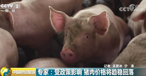 猪肉保供稳价措施密集出台 专家：受政策影响 猪肉价格将趋稳回落