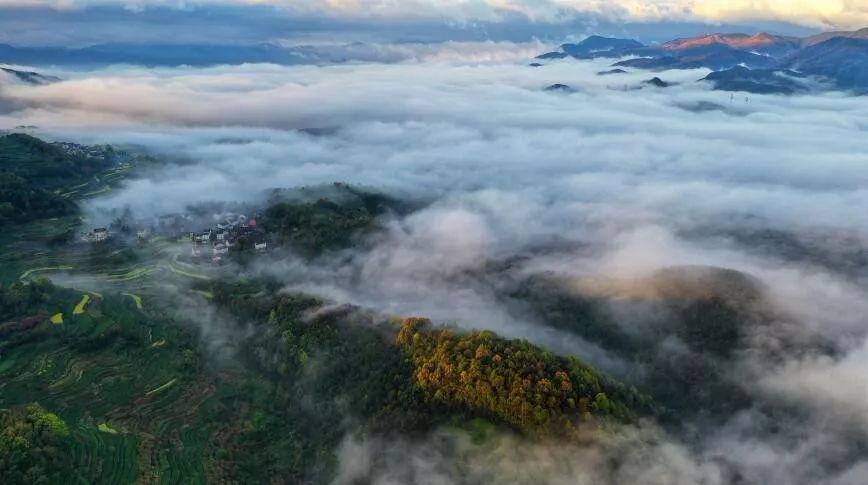 宁海县有多少人口_最新 宁海人,离在家门口搭飞机的时间越来越近啦(2)