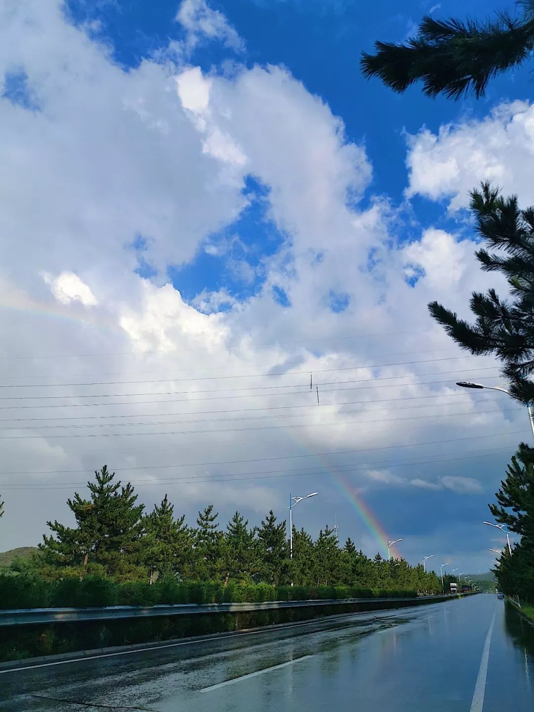 彩虹晴天大雨今天的威海太任性