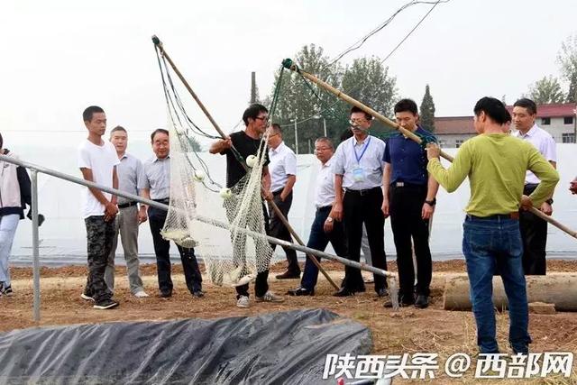 2020陕西GDP破3万_陕西2020年通缉犯照片(3)