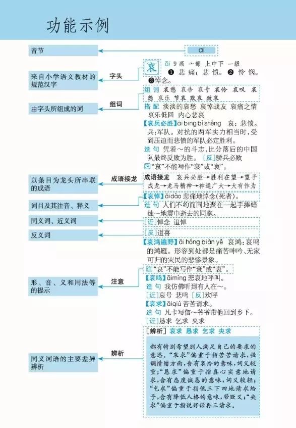 开团 同步新课标的全功能工具书 小学生选它就对了 字典