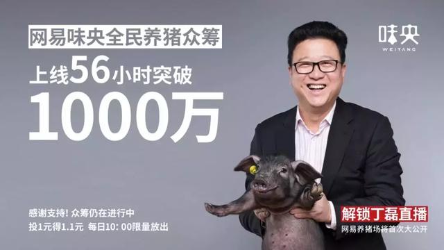 前有阿里巴巴,后有拼多多,网易考拉要去哪儿? 前有阿里巴巴,后有拼多多,网易考拉要去哪儿?