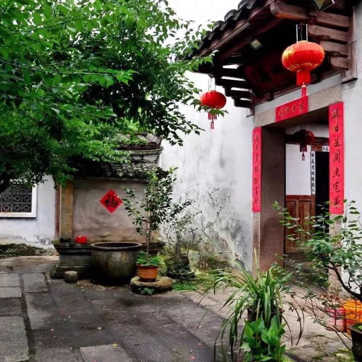 美丽乡村房前屋后皆风景一草一木亦关情