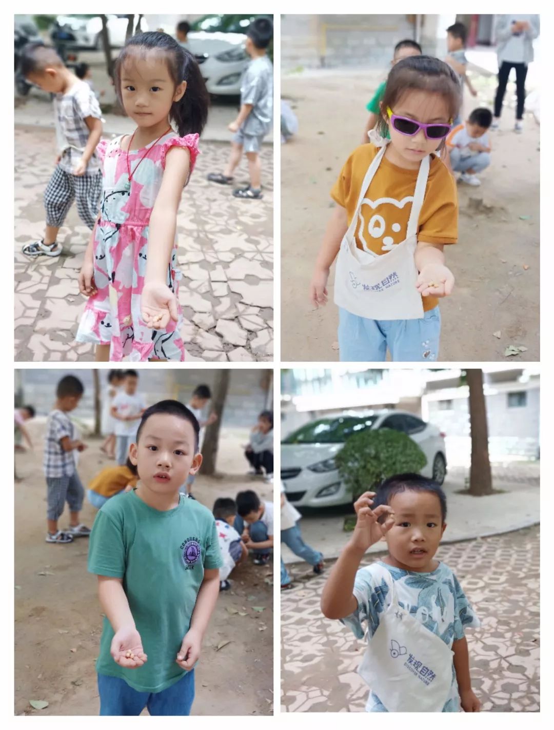 枯萎的菊花猜成语_枯萎的菊花(3)