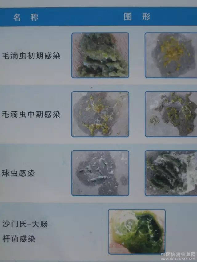 18cb49ee4e994bd6a3802a7aa3eb443e.jpeg