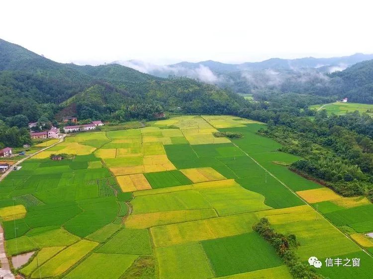 新田镇欧古村