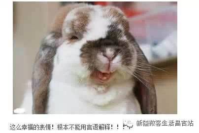 兽是什么意思怎么读 27b1ea9b646449faabc6a80eeab3ed21.jpeg