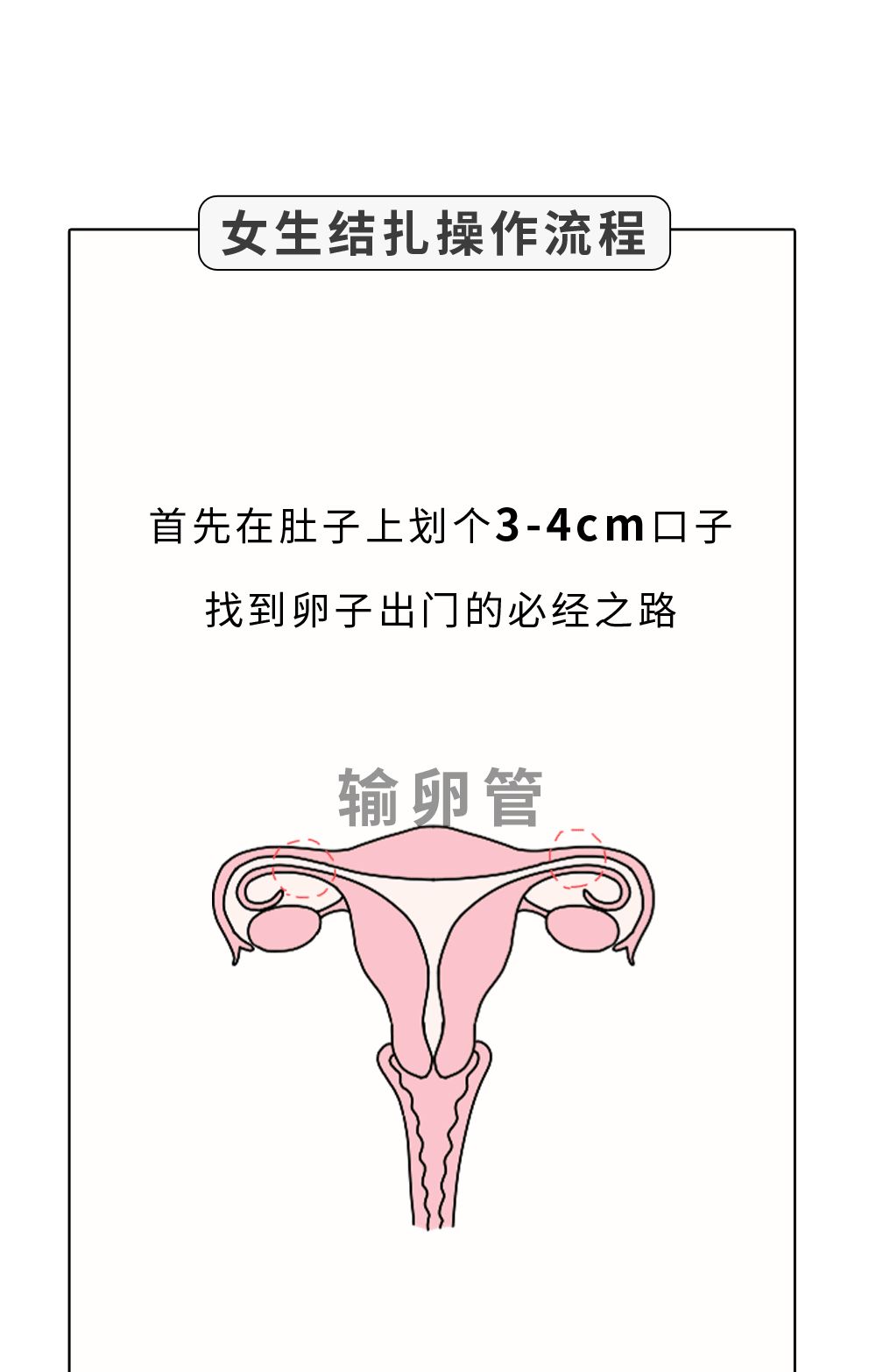 28fdc0b2c1a74a7dac96b40bb4c9f513.jpeg