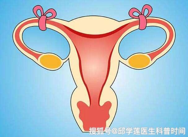 输卵管结扎后,想要二胎了怎么办?