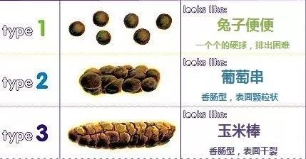 2ece472394234b96aac6ae2c2fd076a2.jpeg