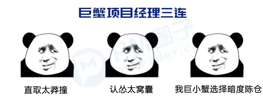 狮子座pm属鸡双鱼座2018幸运色图片
