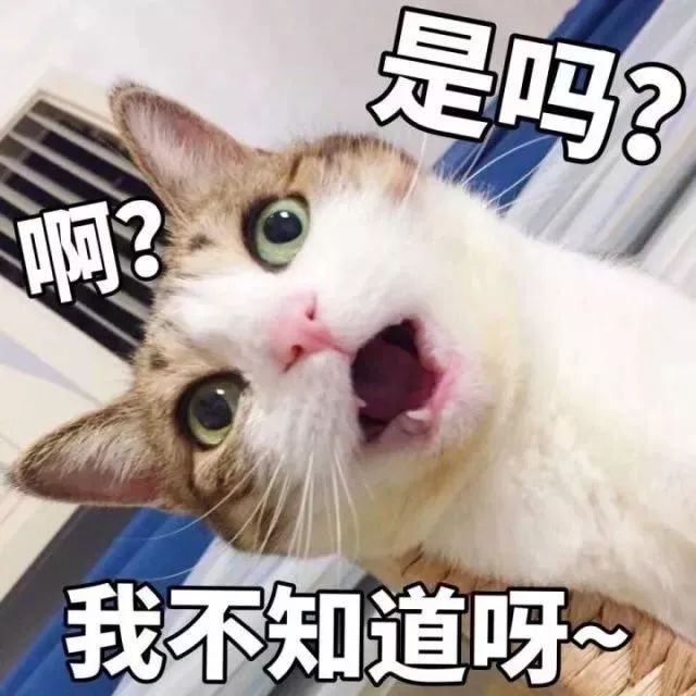 3347eaed6ae7457ba4d7be4e8ddec7dd.jpeg