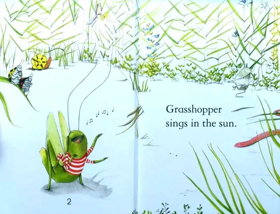 【绘本故事】《the ant and the grasshopper》蚂蚁和