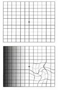 428b08577cf747689e1f6c48ada3765e.jpeg