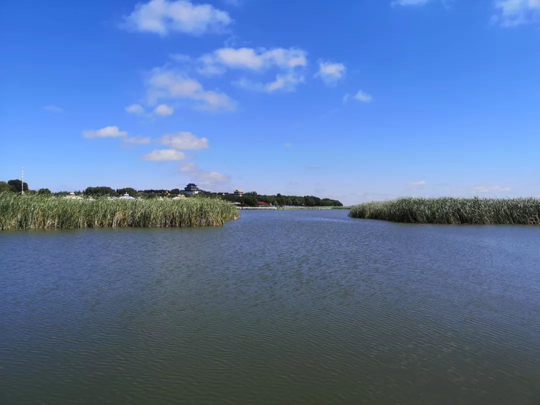 位于查干湖北岸的湿地花海和野鸭湾,也是查干湖最具特色的一道靓丽